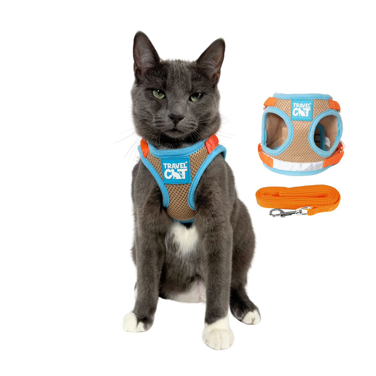 "The Oasis" Limited Edition Cat Harness & Leash Set