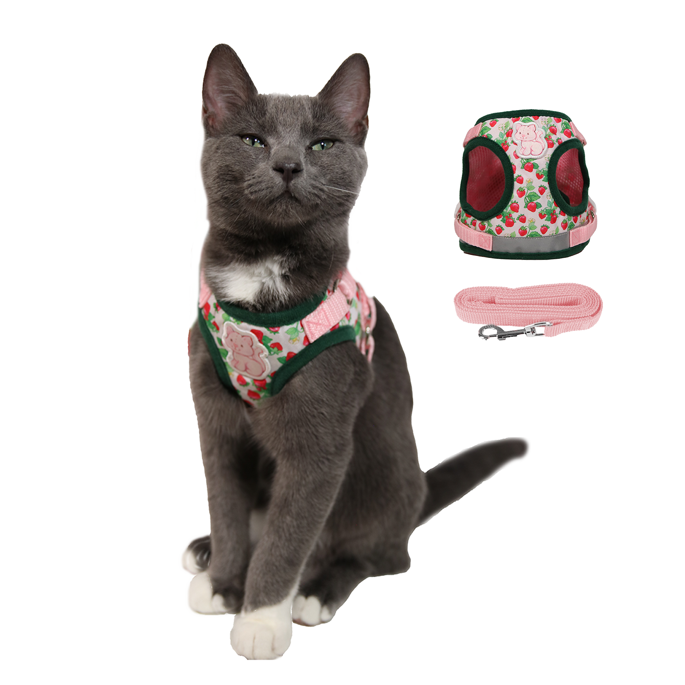 Strawberry Shortcake x Travel Cat Harness & Leash Set