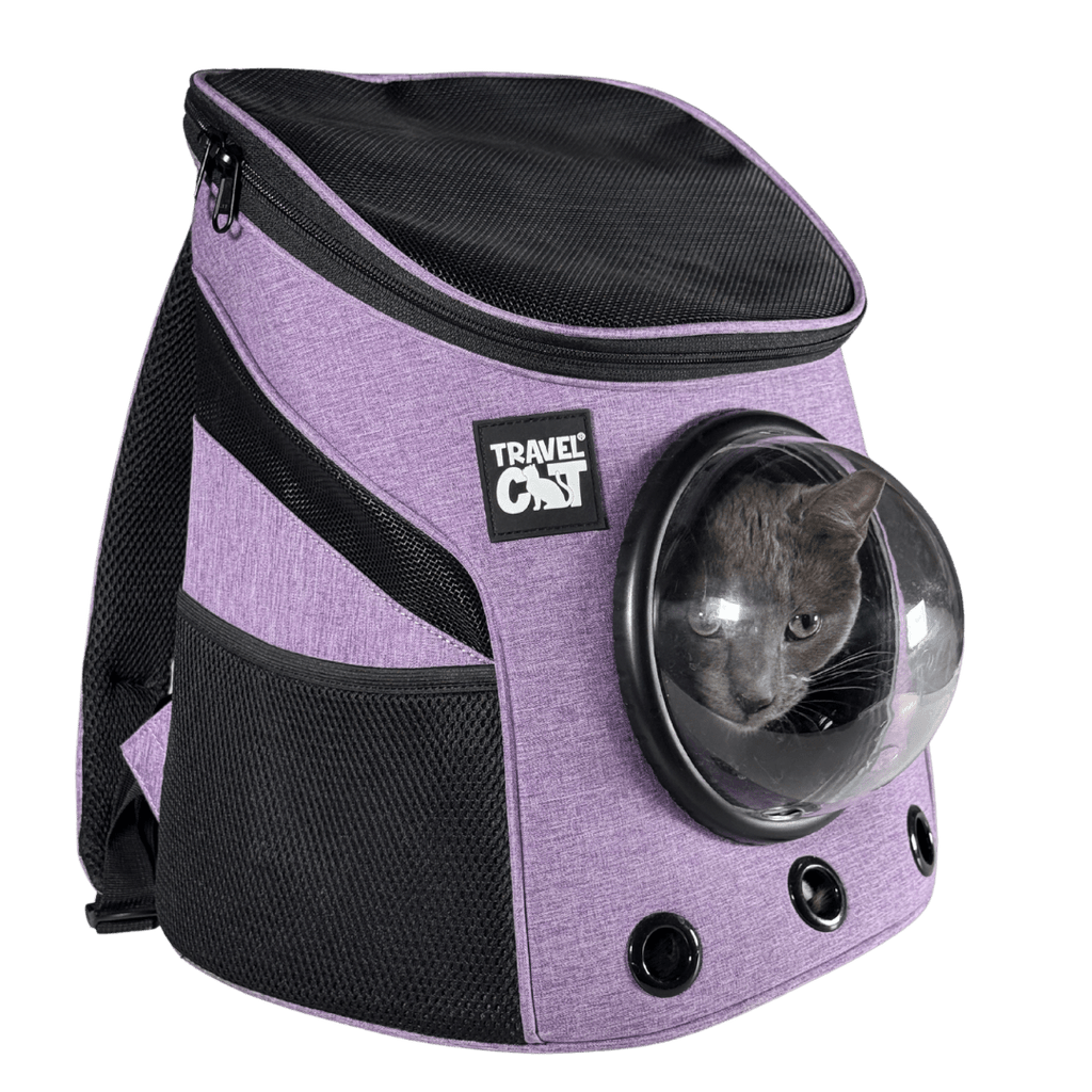 minipurple.png?v=1782735060&