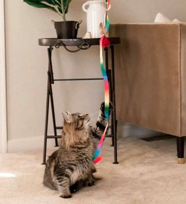 "The Rainbow Dancer" Cat Teaser Toy Wand
