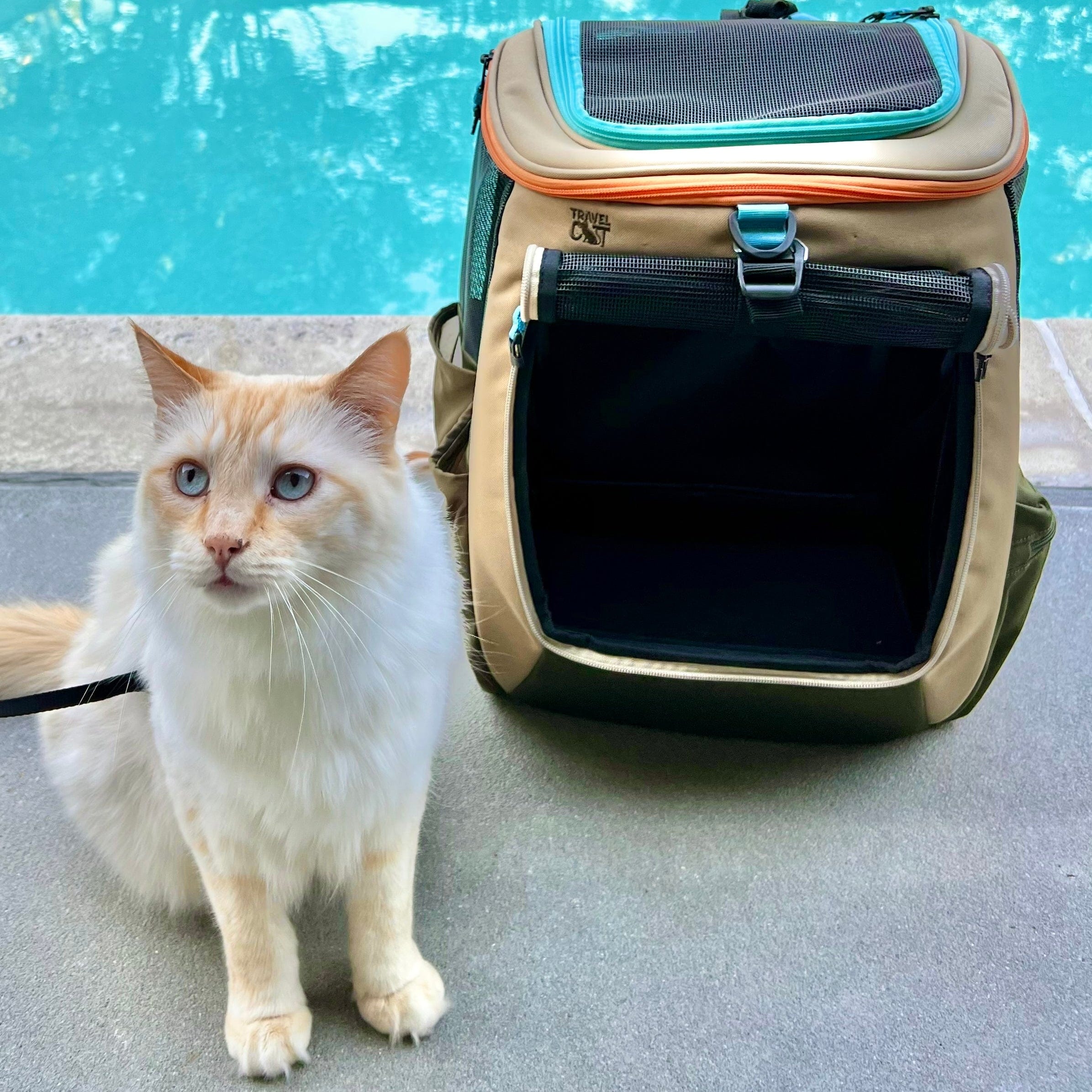 "The Navigator" Earth Convertible Cat Backpack - For Adventurous Cats and Humans