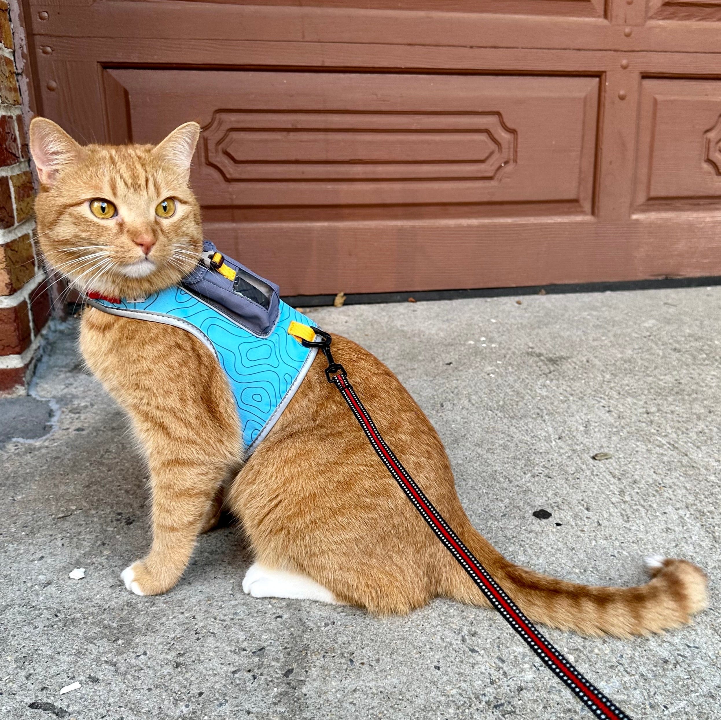 The Pathfinder Cat Harness with GPS Tracker Pocket Powered by Tractive