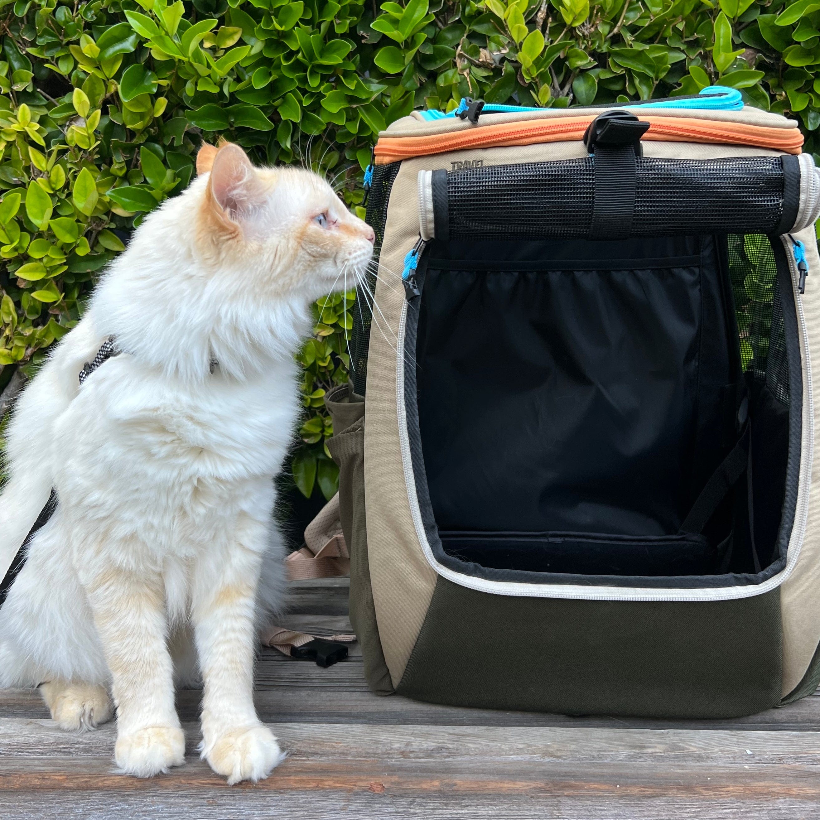 "The Navigator" Earth Convertible Cat Backpack - For Adventurous Cats and Humans