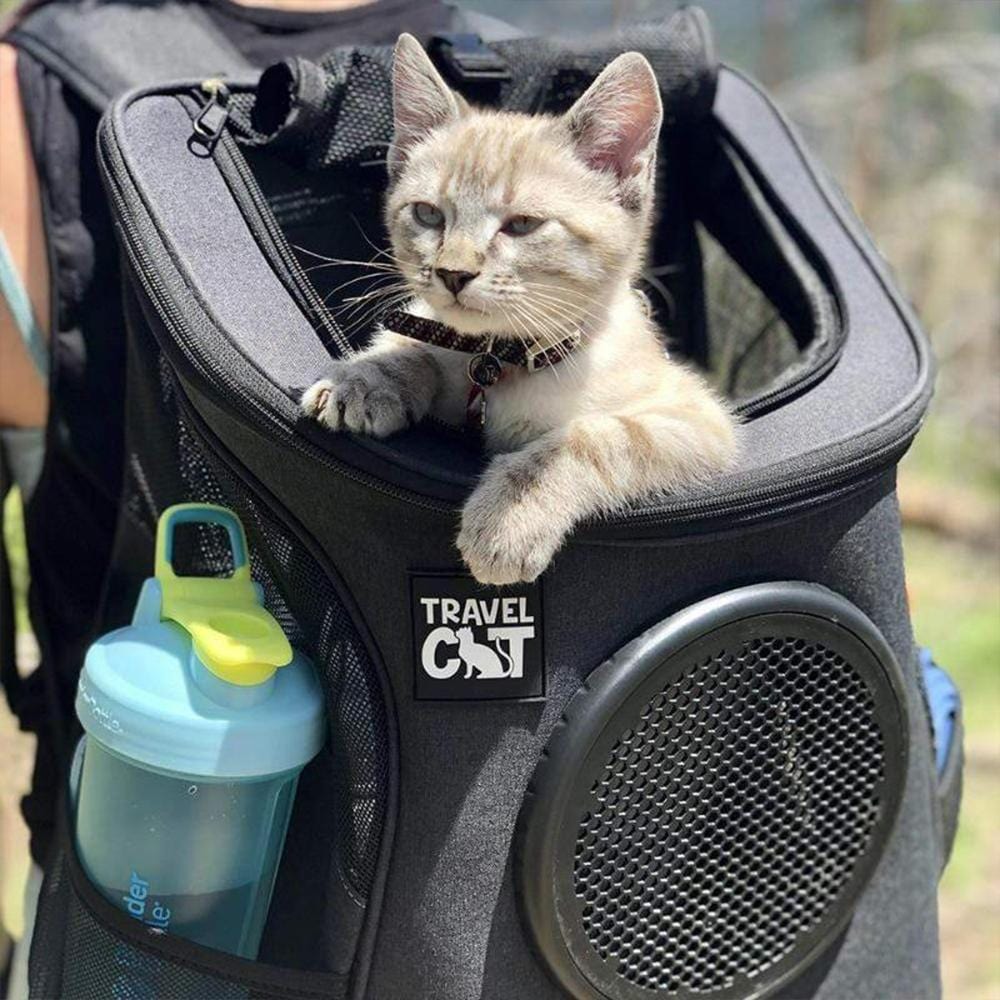 Large cat backpack carrier on sale