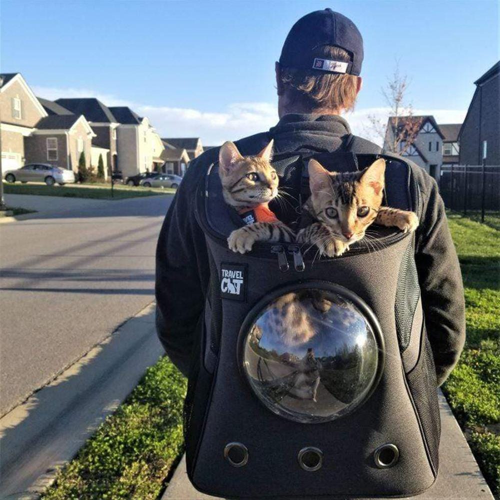 Backpack for cats best sale