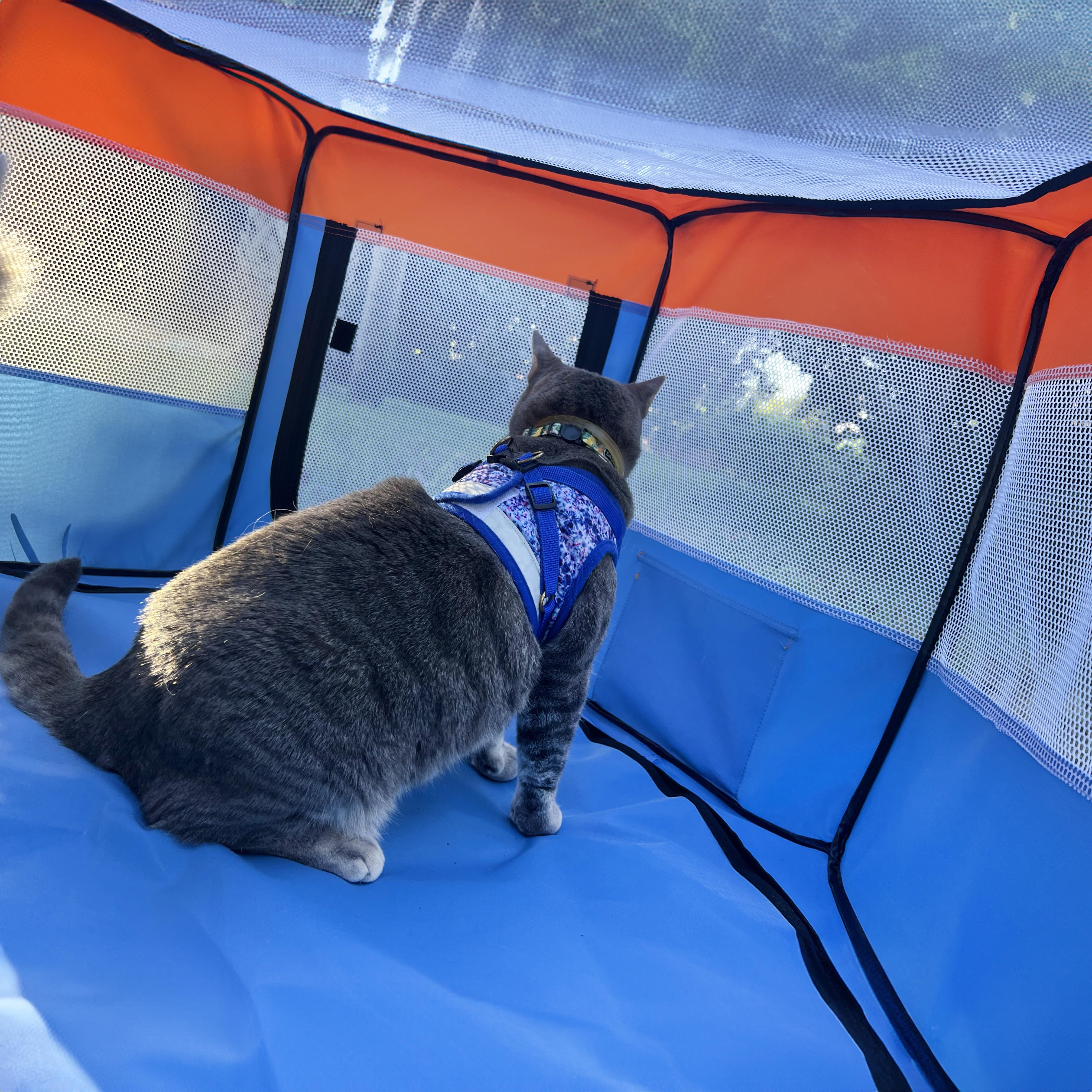 The Feline Fun House - Portable Cat Play Tent