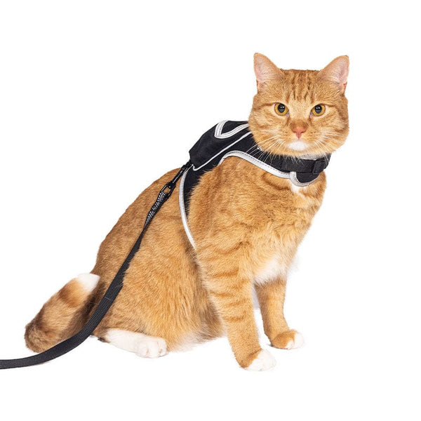 【stray】travel cat コラボ　ハーネス　sサイズ Stray x Travel Cat Harness & Leash Set - Limited Edition