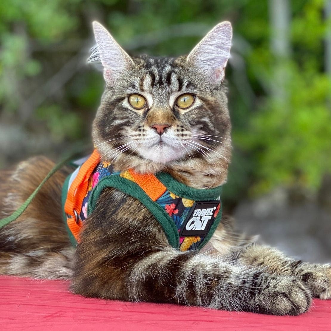 "The Hawaiian Shirt" Limited-Edition Cat Harness & Leash Set